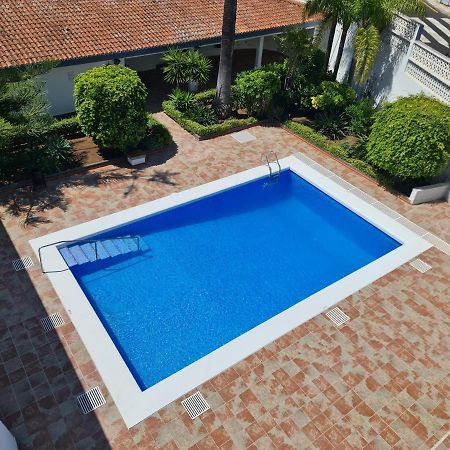 Estudio Brillante, Confortable Y Agradable Puerto de la Cruz  Buitenkant foto