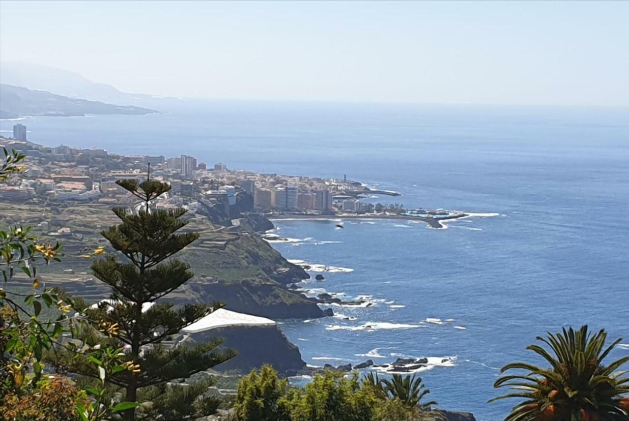 Estudio Brillante, Confortable Y Agradable Puerto de la Cruz  Buitenkant foto