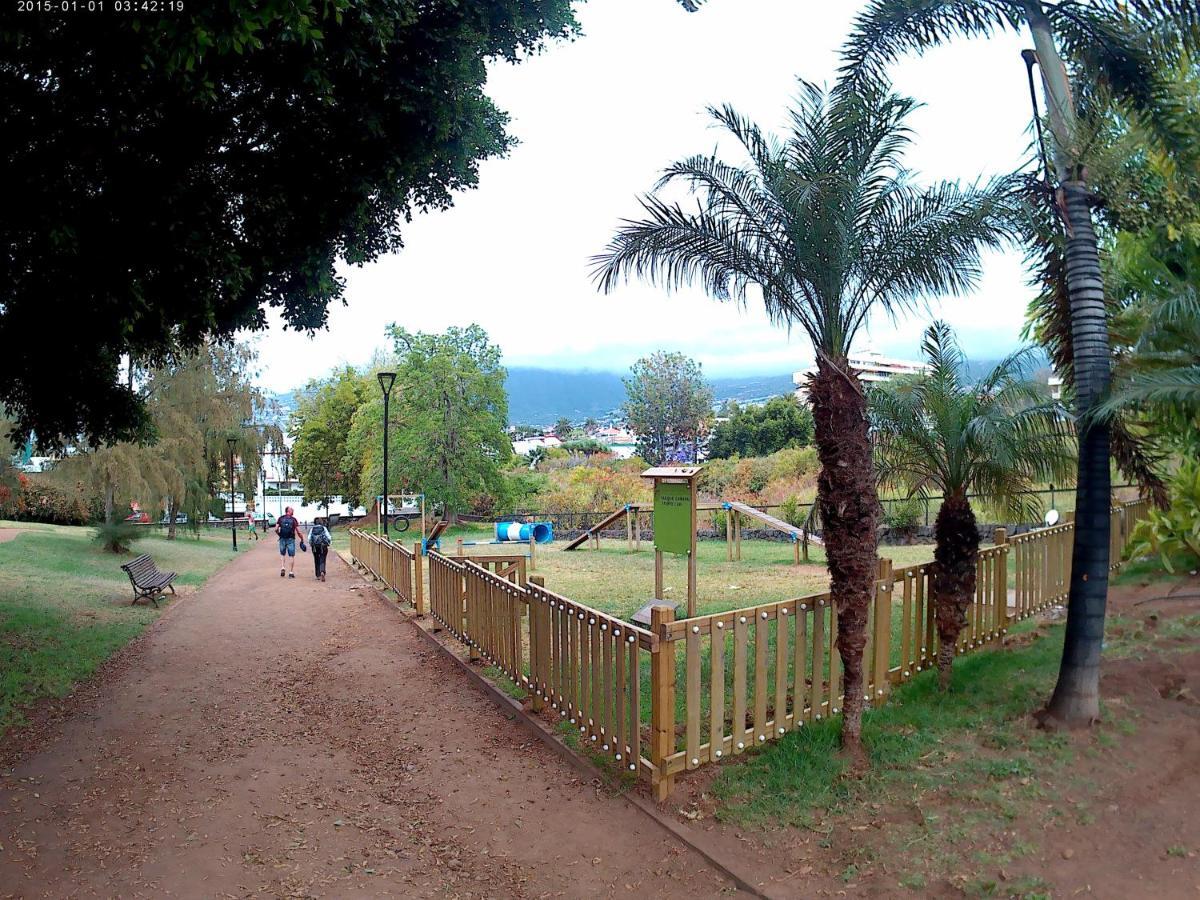 Estudio Brillante, Confortable Y Agradable Puerto de la Cruz  Buitenkant foto