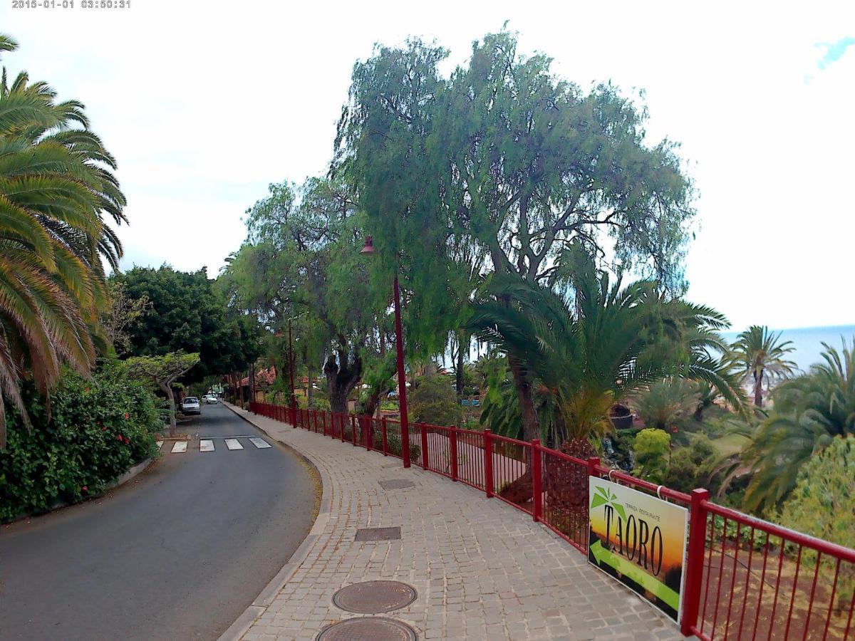 Estudio Brillante, Confortable Y Agradable Puerto de la Cruz  Buitenkant foto