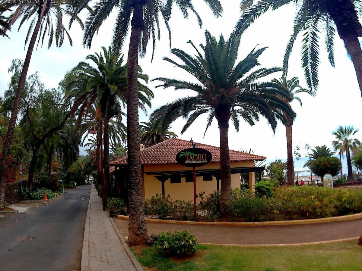 Estudio Brillante, Confortable Y Agradable Puerto de la Cruz  Buitenkant foto