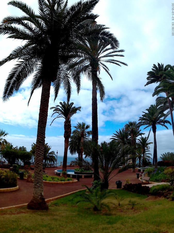 Estudio Brillante, Confortable Y Agradable Puerto de la Cruz  Buitenkant foto